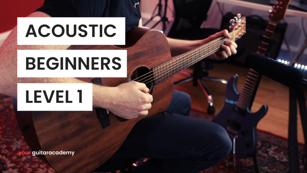 Acoustic Guitar Beginners - Level 1 Fret Zealot